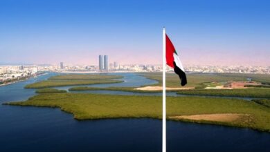 شراكة بين "راك داو" و"تانسنت كلاود" لتعزيز الشركات الناشئة في مجال الكريبتو