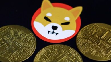"شيبا إينو" تطلق شبكة بلوكتشين خاصة بها بعد جمع 12 مليون دولار
