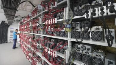 هيئة الزراعة والأمن الغذائي في أبوظبي تحظر تعدين العملات الرقمية