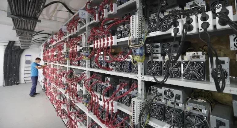 هيئة الزراعة والأمن الغذائي في أبوظبي تحظر تعدين العملات الرقمية