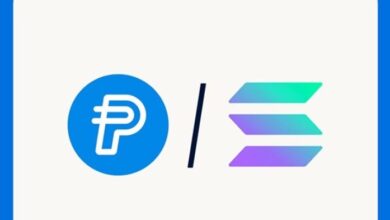 "باي بال" تدمج عملتها المستقرة PYUSD مع سولانا لتوفير معاملات أسرع