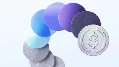 "سيركل" تُدرج عملتها المستقرة EURC على شبكة "بيس"