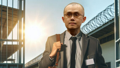 CZ release from Jail