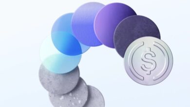 "سيركل" تنتقل إلى نيويورك استعدادًا للطرح العام الأولي