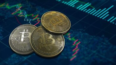 الهند تقود العالم في تبني العملات الرقمية للمرة الثانية على التوالي