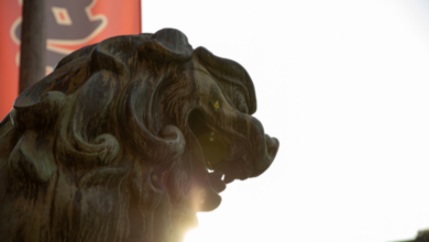 Komainu, blockstream, strategic investment, blockchain news, crypto news, bitcoin treasury, bitcoin news, Nomura, laser digital