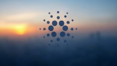 cardano foundation, blockchain news, decentralized governance, crypto news, plomin hard fork