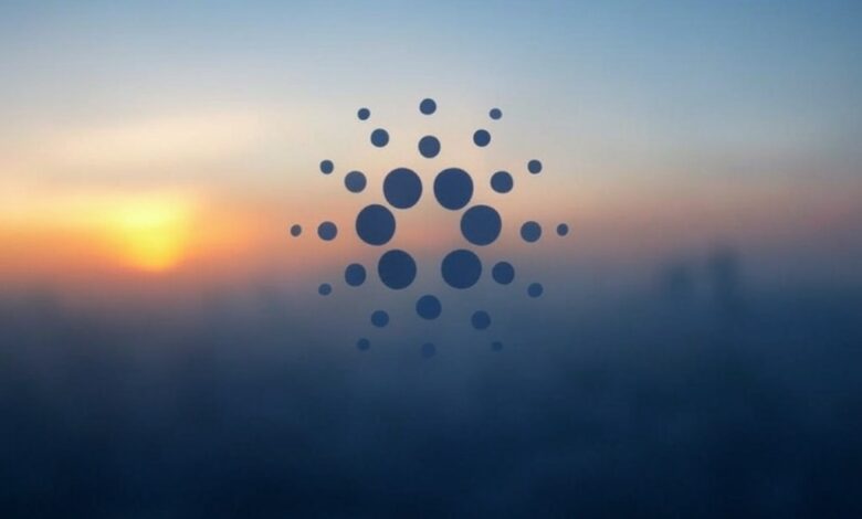 cardano foundation, blockchain news, decentralized governance, crypto news, plomin hard fork