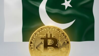 باكستان تُطلق هيئة تنظيمية للإشراف على الأصول الرقمية