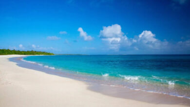 قطر تدعم مبادرة استثمارية ضخمة في البلوكتشين عبر مكتب عائلي في دبي