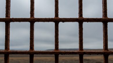 الحكم بالسجن 12 عامًا على الرئيس التنفيذي السابق لـ "سيلسيوس"