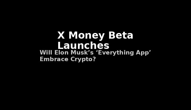 x_money_visual