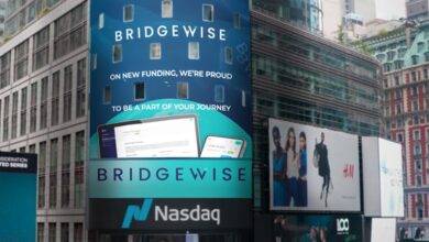 bridgewise signalwise AI investment crypto news blockchain news