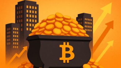 Treasury Company Bubble