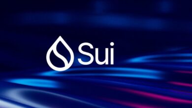 تأجيل قرار هيئة الأوراق المالية بشأن إطلاق صندوق تداول Sui الفوري