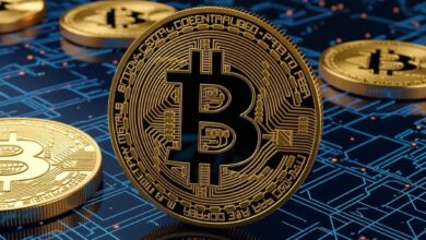 bitcoin treasury