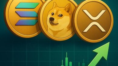 cryptoo market