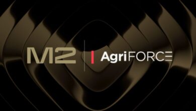 شركة M2 كابيتال تضخ 21 مليون دولار في صندوق AVAX One