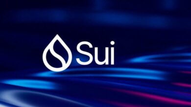 إطلاق مرتقب لعملتين مستقرتين من SUI