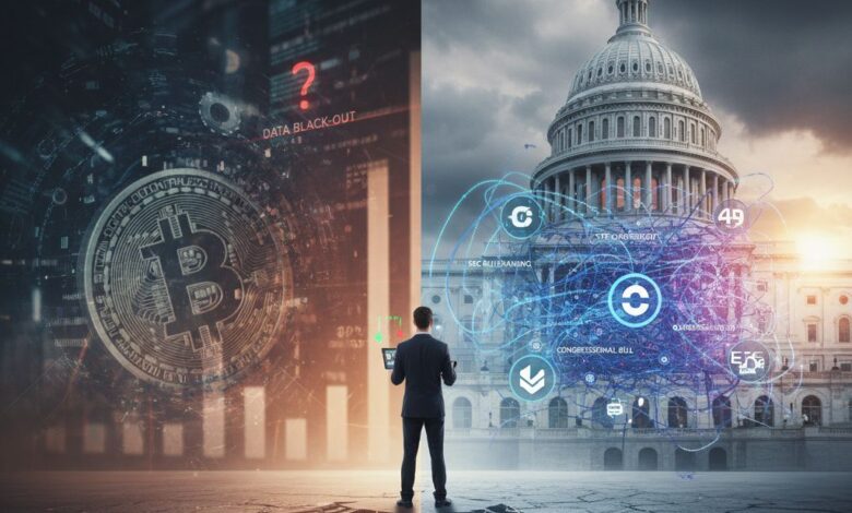 البيتكوين تواجه ضبابية البيانات