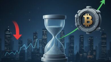 البيتكوين وتقلبات الأسعار