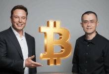 إيلون ماسك وتشانغبينغ تشاو