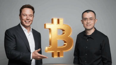 إيلون ماسك وتشانغبينغ تشاو