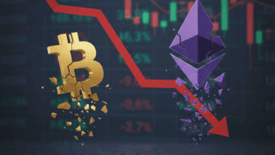 هبوط العملات الرقمية